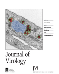 2019 Cover Page Journal of Virology