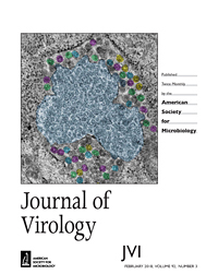 2017 Cover Image Journal of Virology